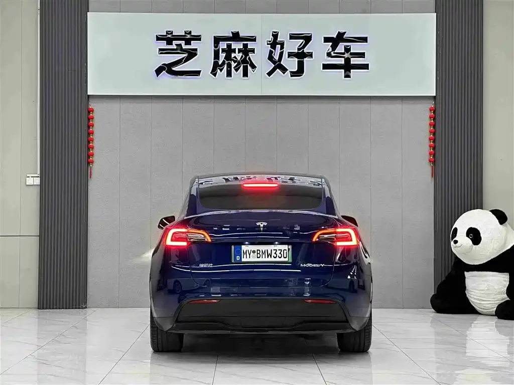 Tesla Model Y — фото 3