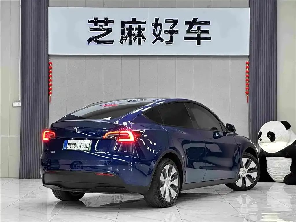 Tesla Model Y — фото 5