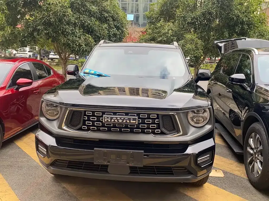 Haval Big Dog PLUS — фото 9