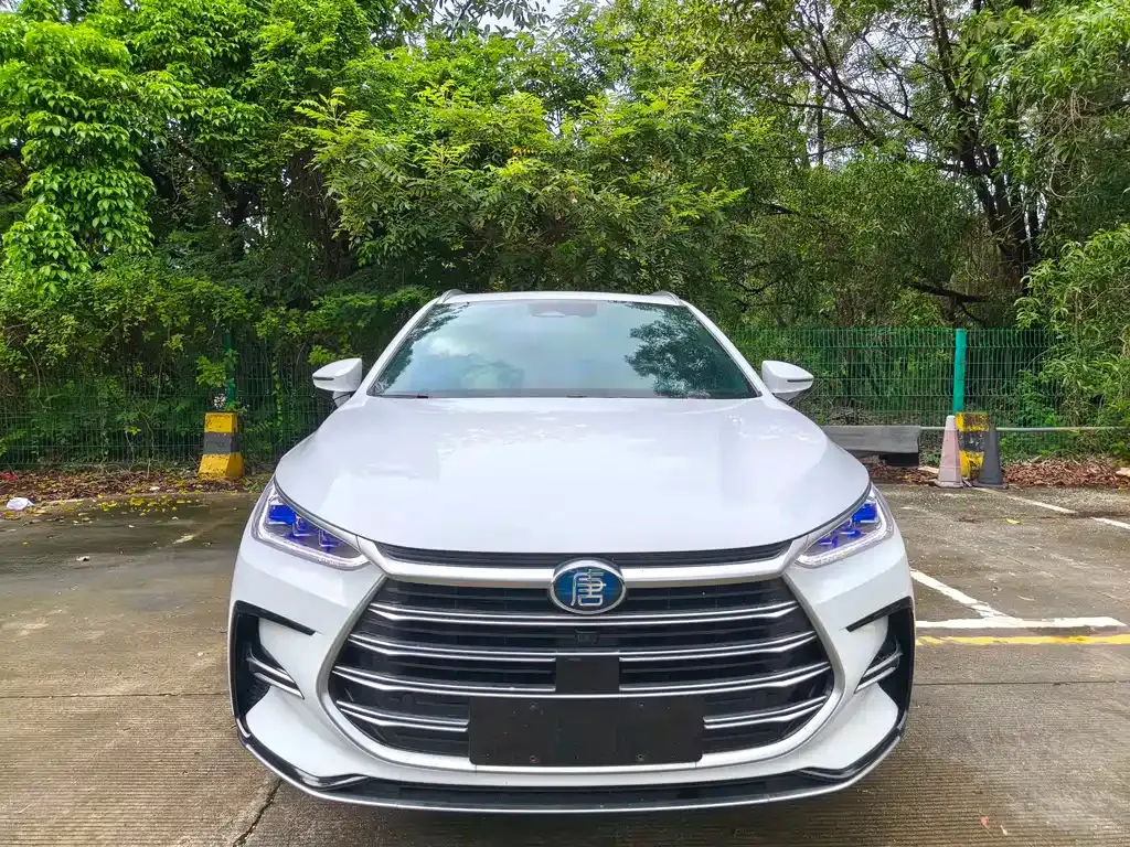 BYD Tang New Energy — фото 10
