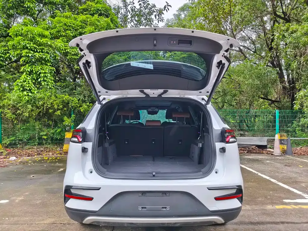 BYD Tang New Energy — фото 8