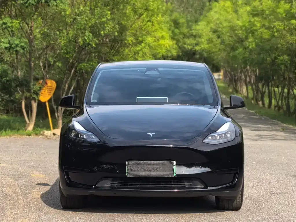 Tesla Model Y — фото 9