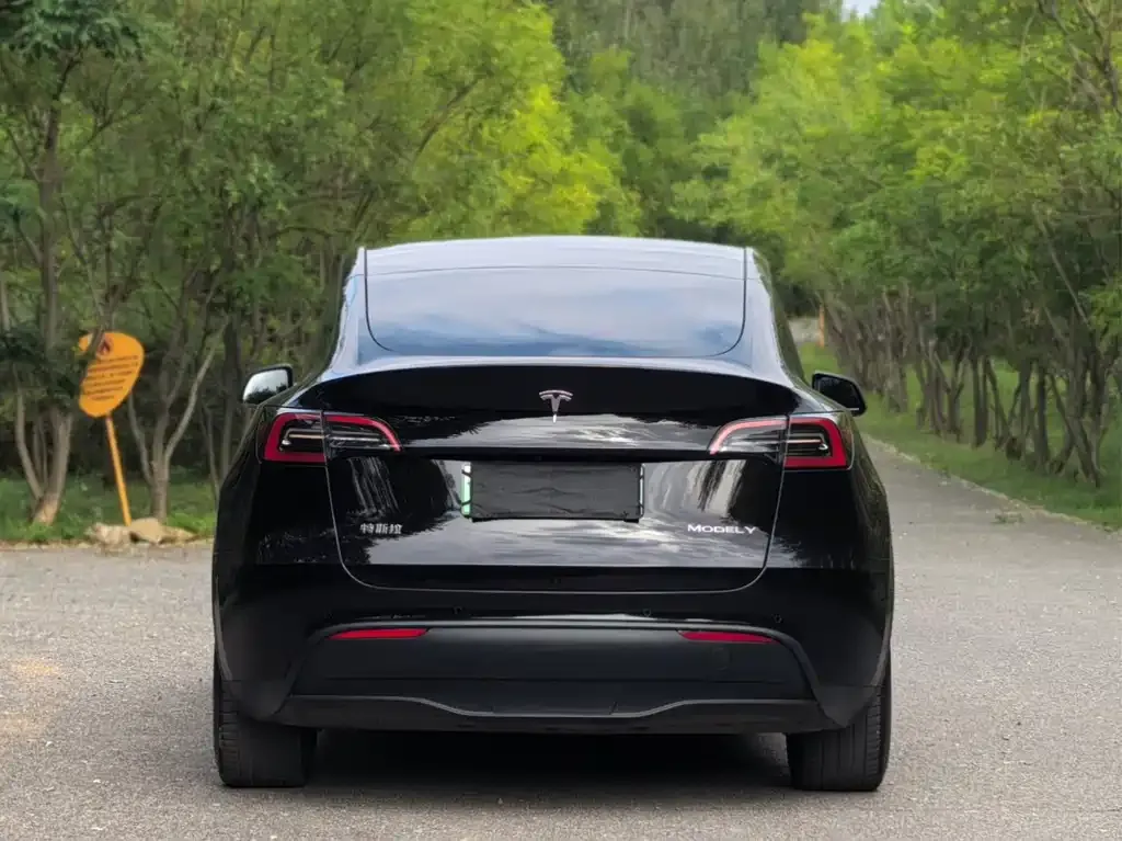 Tesla Model Y — фото 7