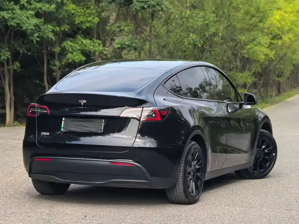Tesla Model Y — фото 6