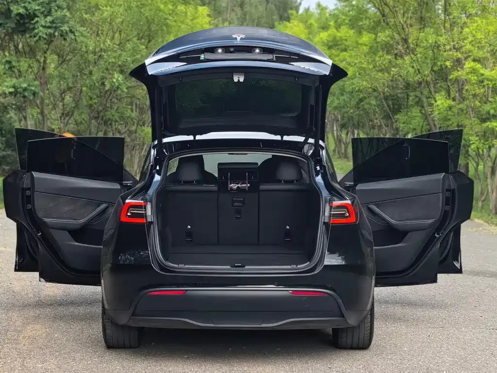 Tesla Model Y — фото 8