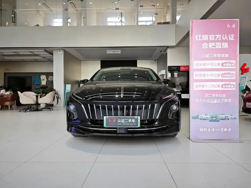 Hongqi E-QM5 — фото 9