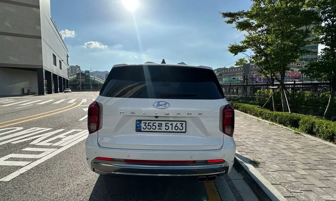 Hyundai Palisade — фото 10