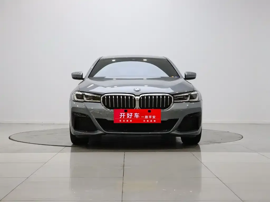 BMW 5 Series (Import) — фото 10