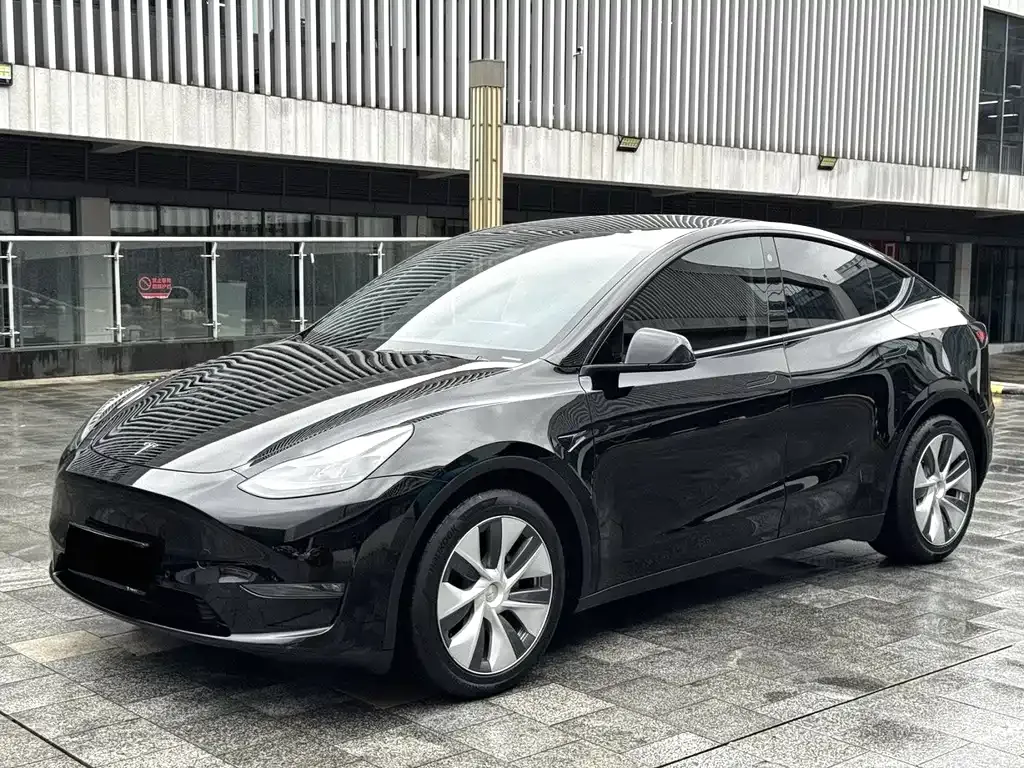 Tesla Model Y — фото 1