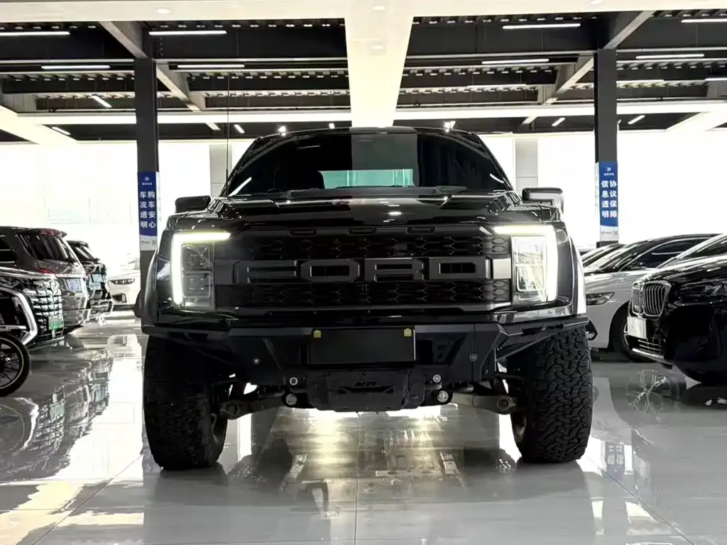 Ford F-150 Raptor — фото 8