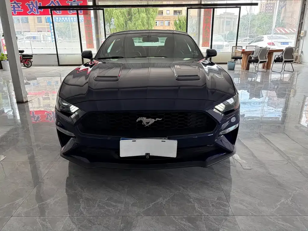 Ford Mustang — фото 10