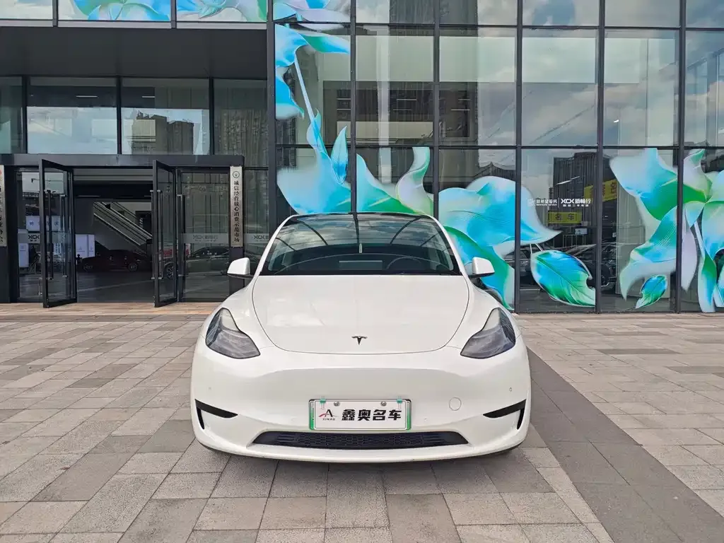 Tesla Model Y — фото 10