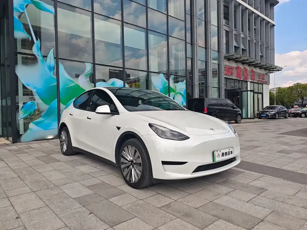 Tesla Model Y — фото 6