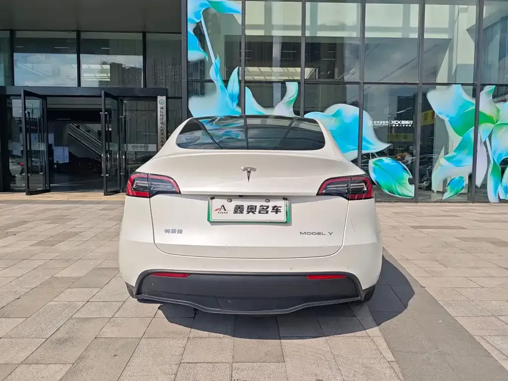 Tesla Model Y — фото 7