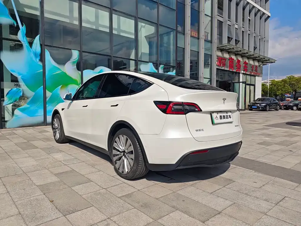 Tesla Model Y — фото 4