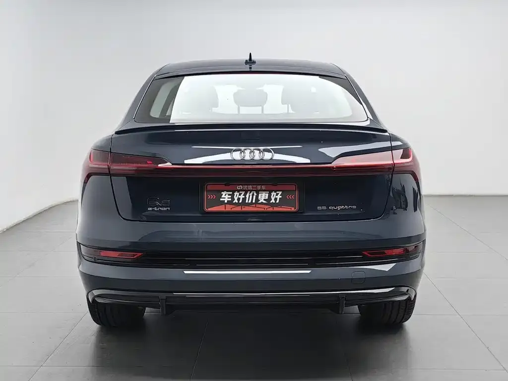 Audi e-tron (Import) — фото 2