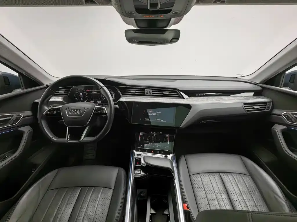 Audi e-tron (Import) — фото 10
