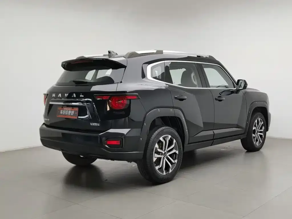 Haval Big Dog PLUS — фото 9