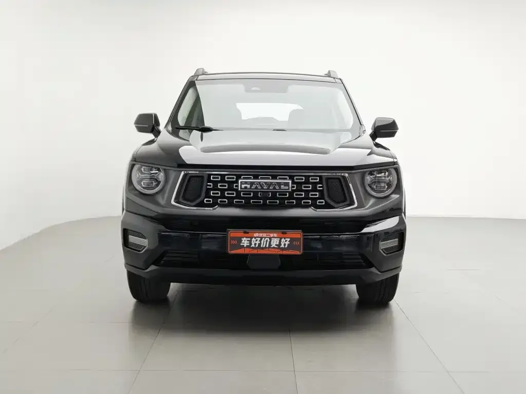 Haval Big Dog PLUS — фото 4