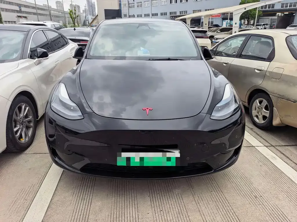 Tesla Model Y — фото 3