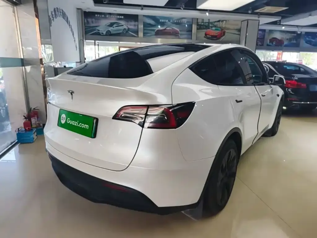 Tesla Model Y — фото 10