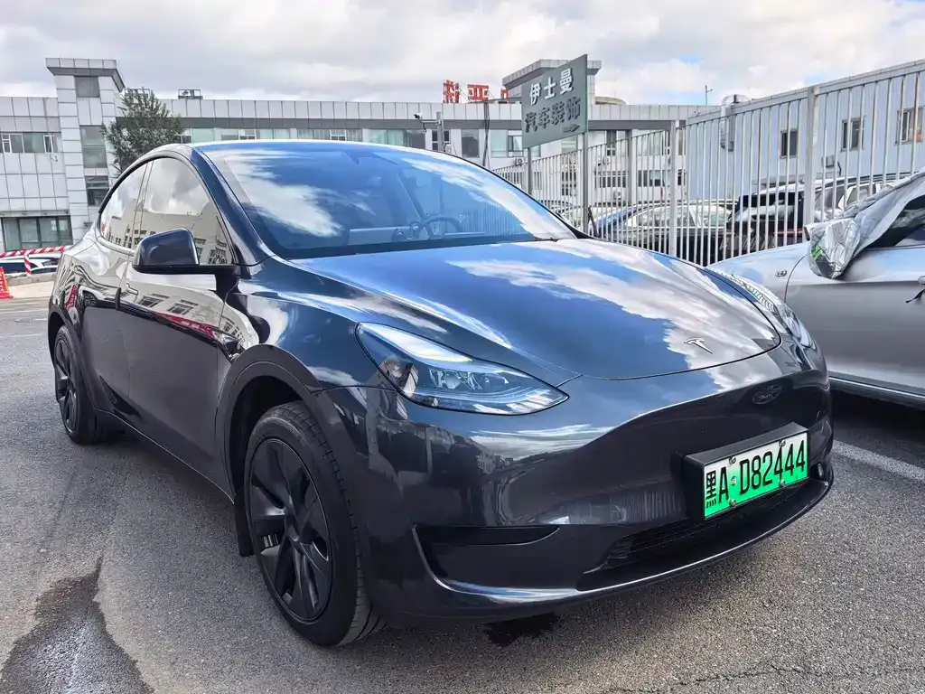 Tesla Model Y — фото 2