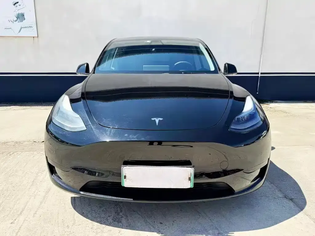 Tesla Model Y — фото 10