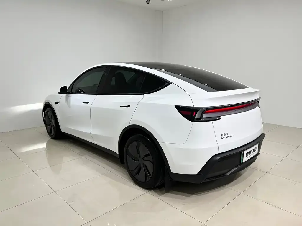 Tesla Model Y — фото 5