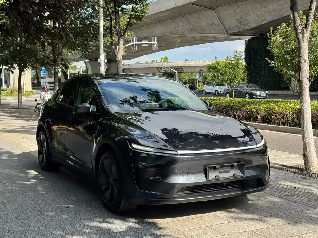 Tesla Model Y — фото 6
