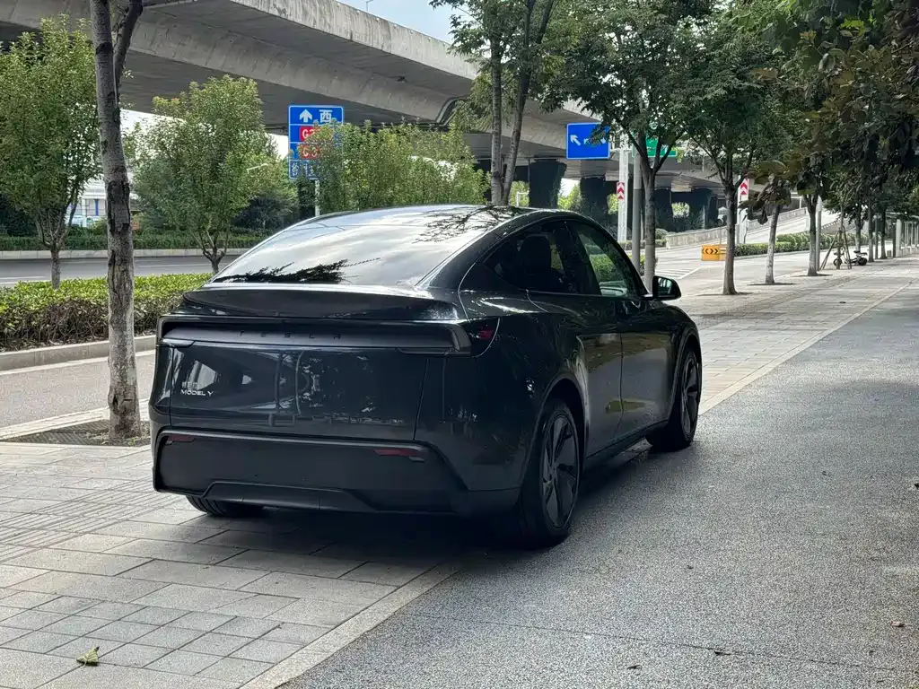 Tesla Model Y — фото 8