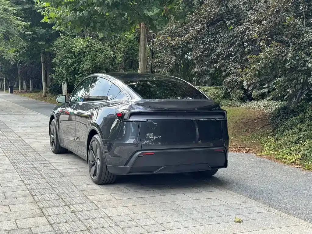 Tesla Model Y — фото 5