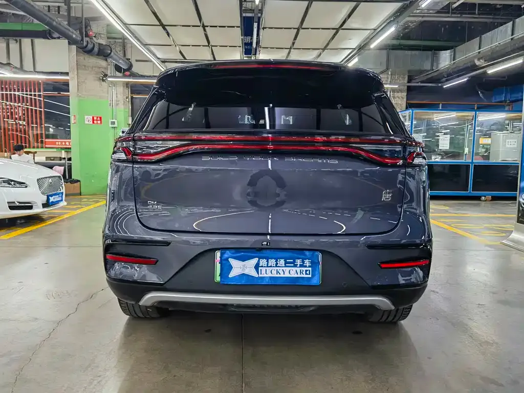 BYD Tang New Energy — фото 9