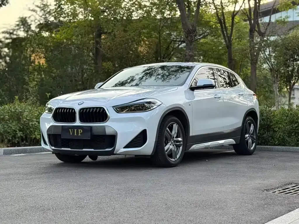 BMW X2 sDrive25i Leading M Offroad 1