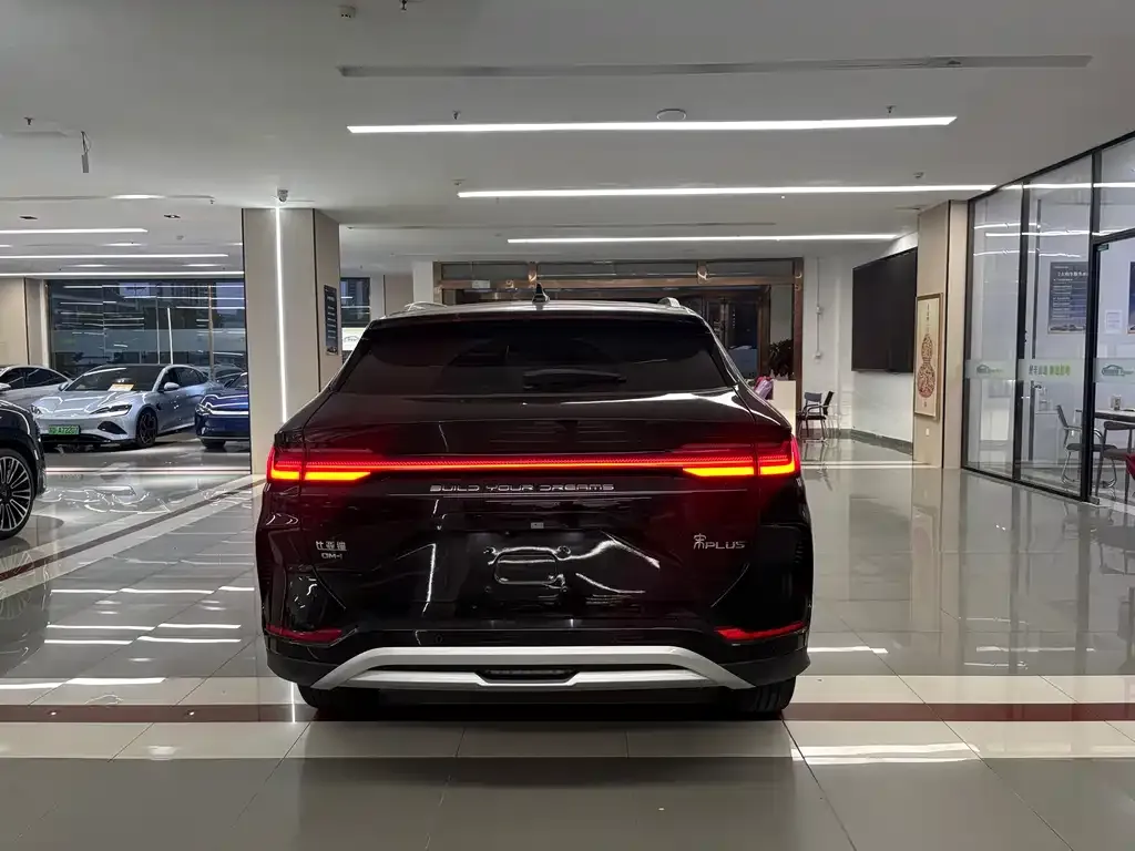 BYD PLUS New Energy — фото 6