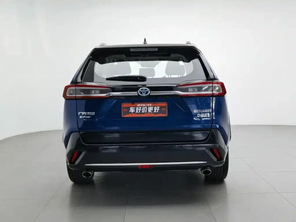 Toyota Wildlander New Energy — фото 3