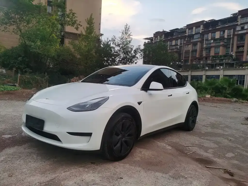 Tesla Model Y — фото 1