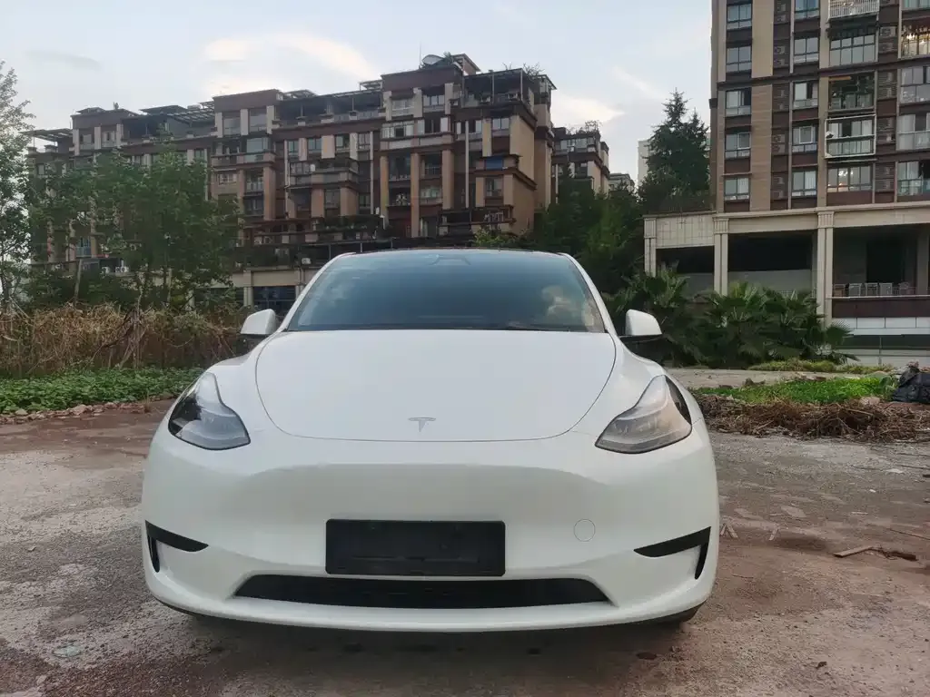 Tesla Model Y — фото 8