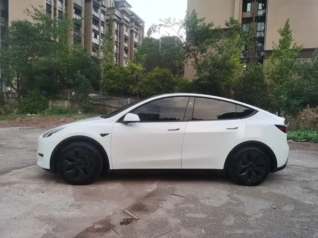 Tesla Model Y — фото 6