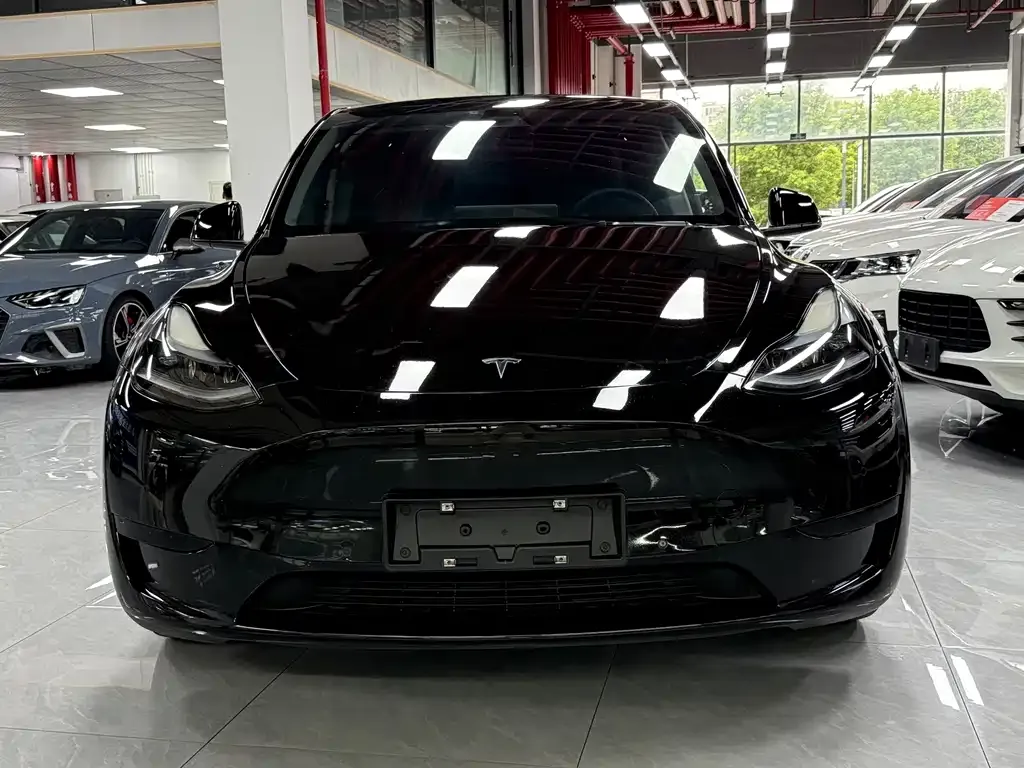 Tesla Model Y — фото 10