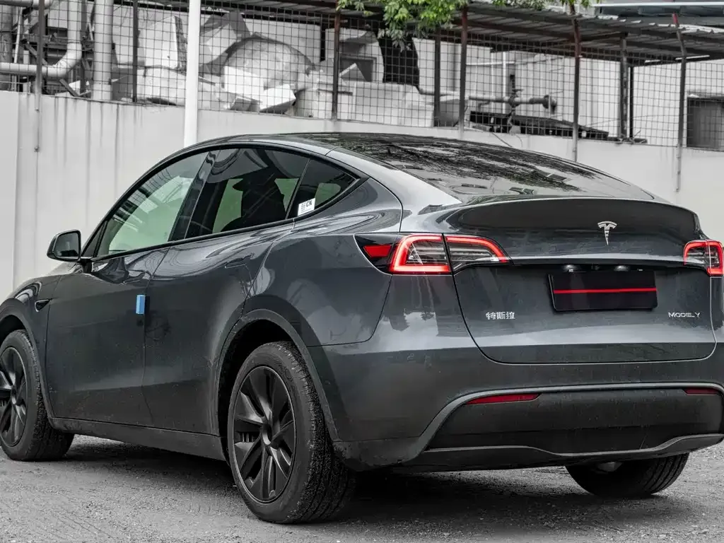 Tesla Model Y — фото 8