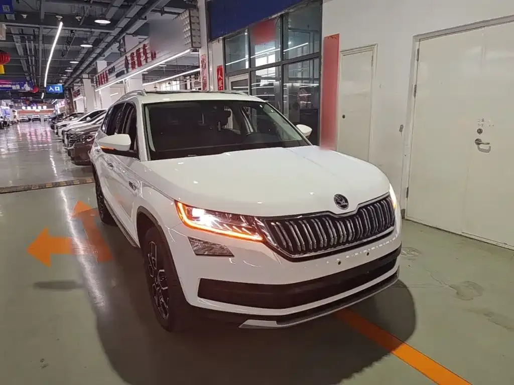 Skoda Kodiaq — фото 8