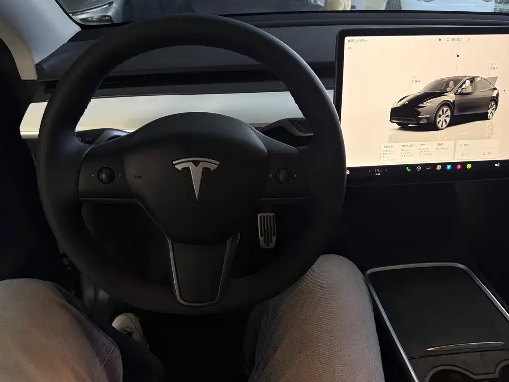 Tesla Model Y — фото 5