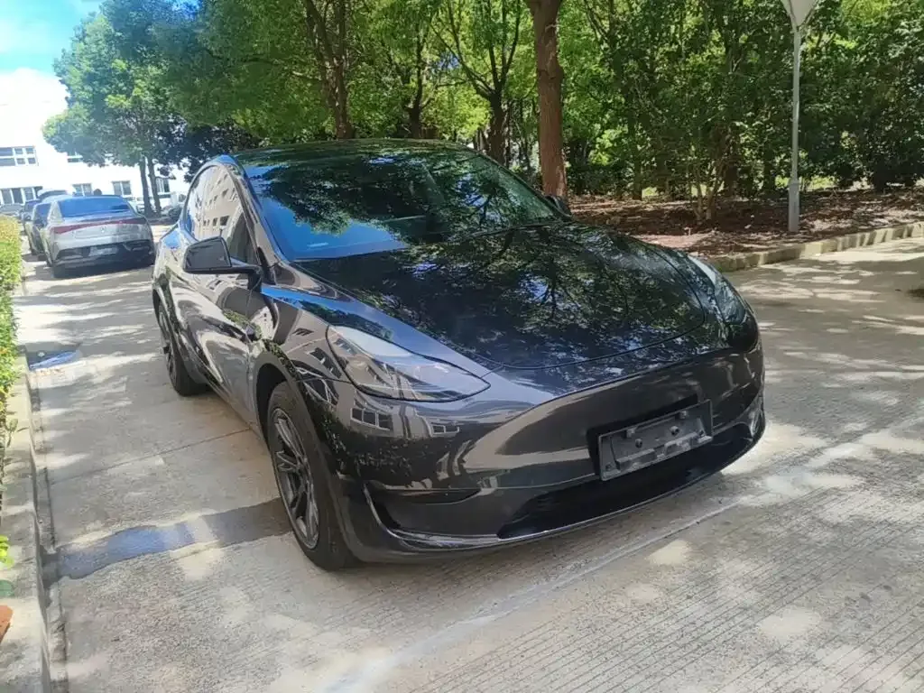Tesla Model Y — фото 10