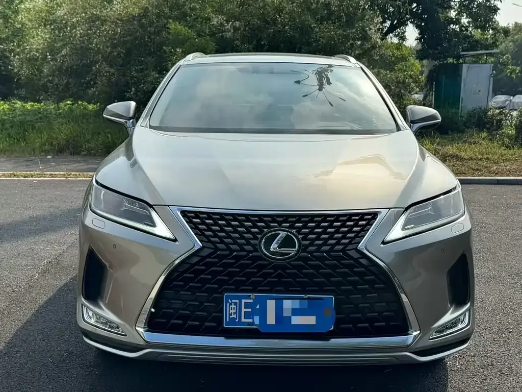 Lexus RX — фото 8