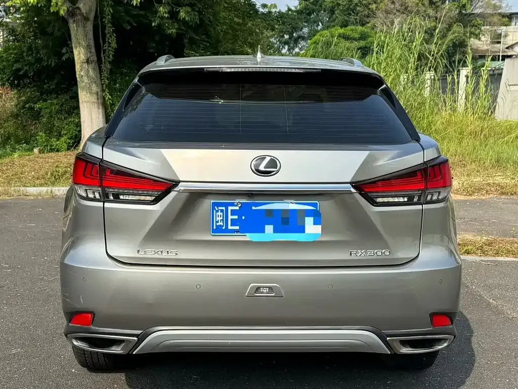 Lexus RX — фото 9