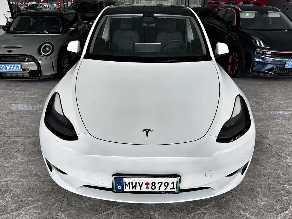 Tesla Model Y — фото 6