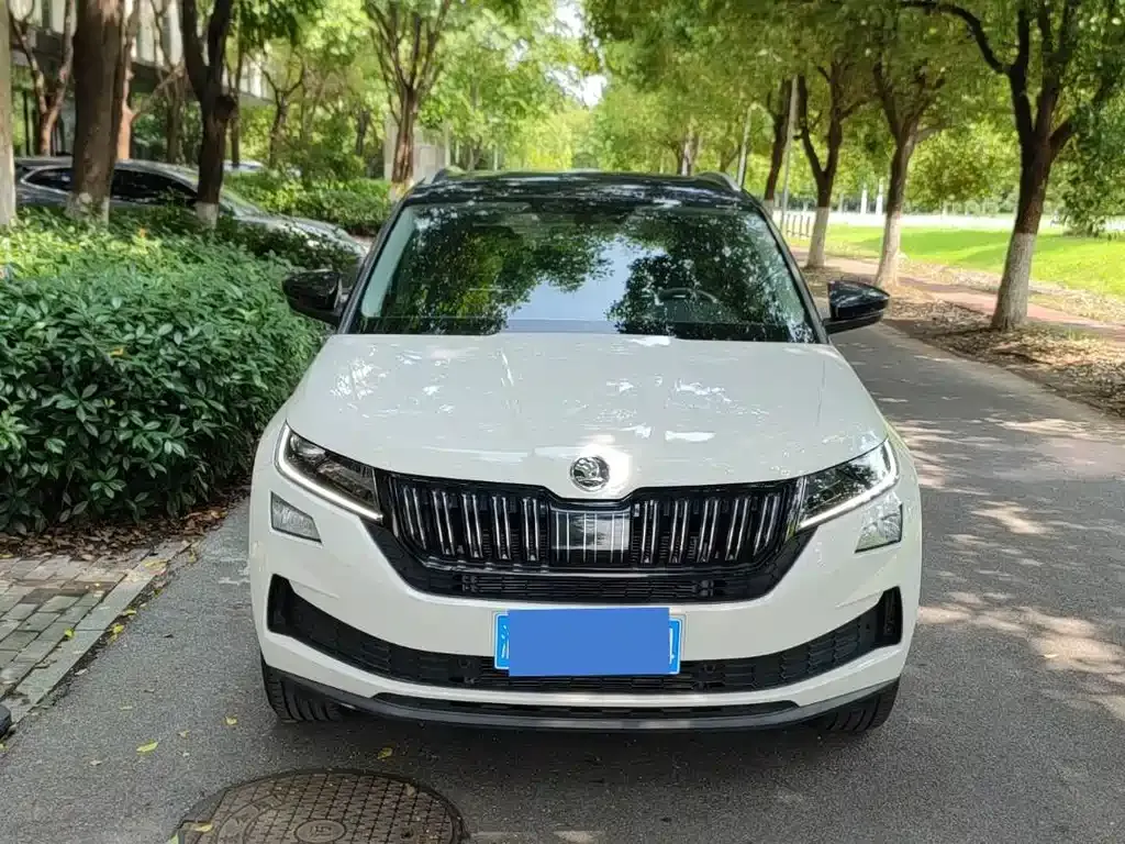 Skoda Kodiaq GT — фото 10