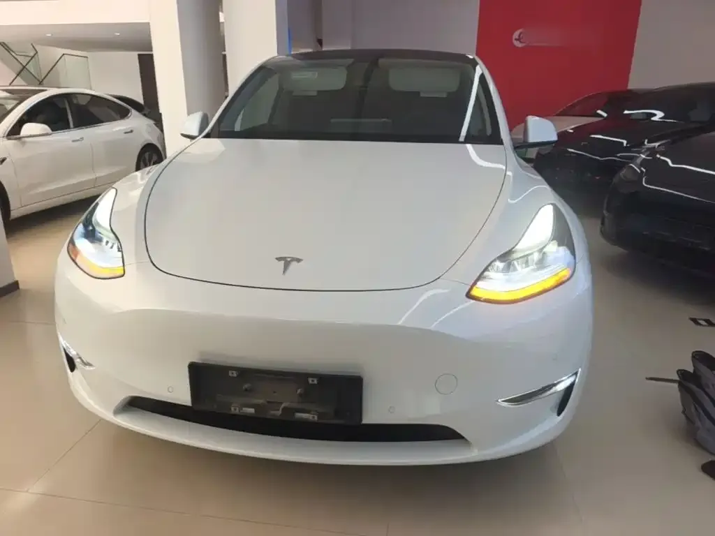Tesla Model Y — фото 3