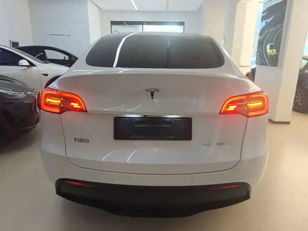 Tesla Model Y — фото 9
