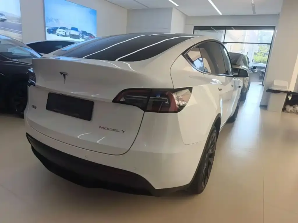 Tesla Model Y — фото 2
